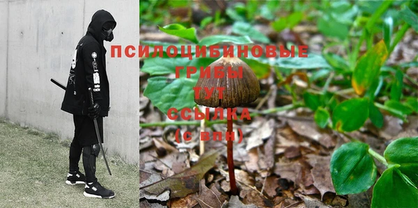 хмурый Бронницы