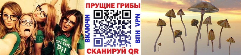Псилоцибиновые грибы Psilocybine cubensis Барыш