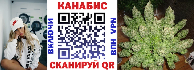 Купить  Барыш  Бошки Шишки планчик 